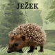 Les na podzim aneb příprava zvířátek na zimu 10