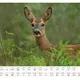 Plánovací foto kalendář zvířat 2024 s názvy zvířat - A3 nástěnný na šířku (autorská tvorba a fotografie) 9