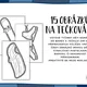 ZIMNÍ SPORTY - TEČKOVÁNÍ 6