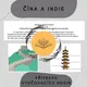 Plán vyučovacích hodin - Čína a Indie 2