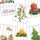 ADVENT 8