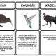 Neuvěřitelná fakta o ptácích 3