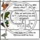 Zvířata v zimě II. 6