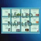 SPEAKING CARDS adjectives versus adverbs 2