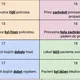Slovesa - balíček aktivit 5