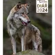 DIÁŘ 2024 - LEDEN - ZDARMA 2
