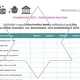 Finanční gramotnost – FZP 09 Běžný účet 7