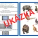 ZVÍŘATA V LESE - světelný panel (soubor aktivit) 4