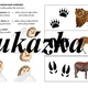 Zvířátka v zimě  4