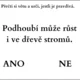 Houby - 40 tvrzení (ANO/NE) 3