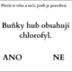 Houby - 40 tvrzení (ANO/NE) 2