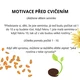 Pohádková jógová lekce - O veliké řepě 3