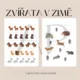 Zvířata v zimě - soubor aktivit 2