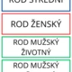 Vzory podstatných jmen 4