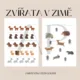Zima - soubor aktivit (sporty, zvířata a oblečení) 2
