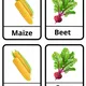Vegetable - Zelenina 2