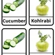Vegetable - Zelenina 3