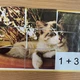 Matematické LOTO 1. třída 2