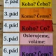 Slovesné mluvnické kategorie, pádové otázky a kartičky i/y, í/ý 2