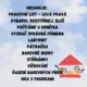 Ptáci v zimě v MŠ- aktivity pro děti od 4 let 2