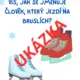 ZIMNÍ SPORTY (úkoly na plot/do třídy) 2