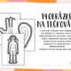 ČÁSTI LIDSKÉHO TĚLA - TEČKOVÁNÍ 6