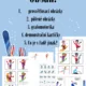 Zimní sporty-soubor aktivit 2