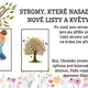 Jarní jóga 5