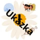 Výzdoba třídy pro prvňáčky - květinová tématika (1. část) 5