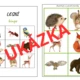 Lesní zvířátka - bingo (4 varianty využití + medaile) 3