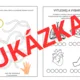 Lidské tělo - SVĚTELNÝ PANEL + BEE-BOT ( 8 aktivit a 19 variant k aktivitám) 7