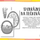 VELIKONOCE - TEČKOVÁNÍ 6