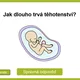 AZ-KVÍZ Lidské tělo 8