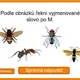 AZ-KVÍZ ČESKÝ JAZYK PRO 3. TŘÍDU 5