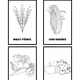 Farma/Farm 2 3