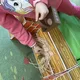 Kompletní příprava do MŠ- ZVÍŘATA ZE STATKU, HOSPODÁŘSKÁ ZVÍŘATA, MLÁĎATA 2