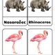 Animals in the ZOO 3