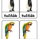 Animals in the ZOO 4