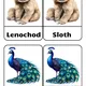 Animals in the ZOO 2