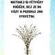 Jarní úkolové kartičky  3