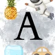 Seznamujeme se s abecedou 6