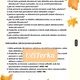 Záhadná podzimní dobrodružství  3
