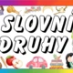 Slovní druhy 4