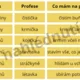 VČELY (TÝDENNÍ PROJEKT) 6