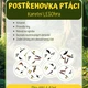 POSTŘEHOVKA PTÁCI 2