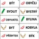 ACTIVITY PLUS - vyjmenovaná slova 4