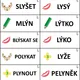 ACTIVITY PLUS - vyjmenovaná slova 5