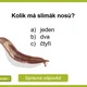 AZ-KVÍZ Ze života zvířat 4