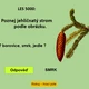 RISKUJ! Ekosystémy  4