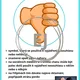 Gesta rukama 2
